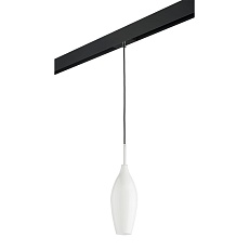 Комплект с трековым светильником Lightstar Pentola (803020+595007) PRO803020