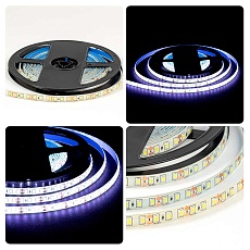 Светодиодная лента OGM 9,6W/m 120LED/m 2835SMD холодный белый 5M LSE-261 2
