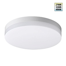 Уличный потолочный светильник Novotech Opal Street 359727