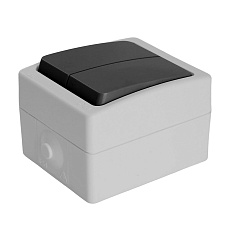 Выключатель двухклавишный Stekker Велена серый-графит PSW10-121-54 32753 4