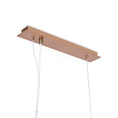 Подвесная люстра Maytoni Erich MOD221-PL-05-G 3