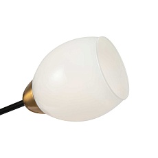 Потолочная люстра Freya Ясный / Lucid FR5240CL-08B 5