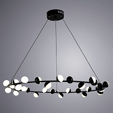 Подвесная светодиодная люстра Arte Lamp Dexter A3619SP-30BK 2