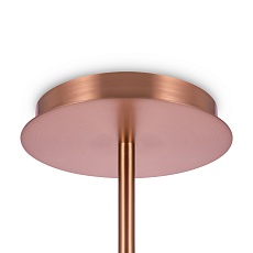 Подвесная люстра Maytoni Erich MOD221-PL-12-G 3