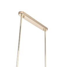 Подвесная люстра ST Luce Elegra SL1402.263.08 2