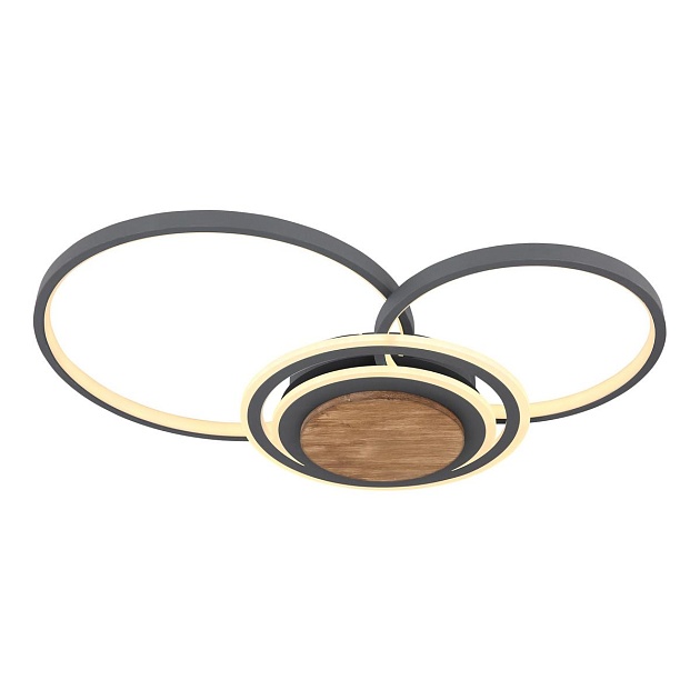 Потолочный светодиодный светильник Globo Nirra 67256-40 Фото № 1