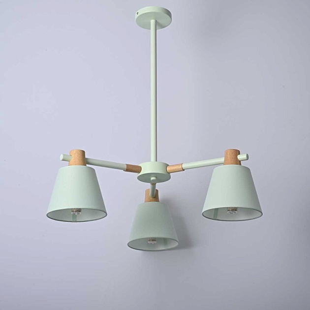 Подвесная люстра Imperium Loft Natura 101824-26 изображение 6 Подвесная люстра Imperium Loft Natura 101824-26 Фото № 6