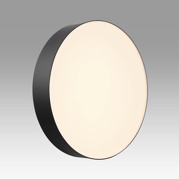 Настенно-потолочный светильник Sonex BASICA 7780/DLN Фото № 3