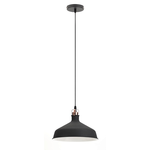 Подвесной светильник ЭРА Loft PL2 BK/RC Б0037413 Фото № 1