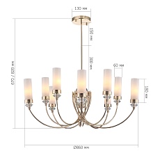 Подвесная люстра ST Luce Elegra SL1402.253.10 1