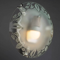 Настенный светильник Arte Lamp Leaves A4020PL-1CC 2