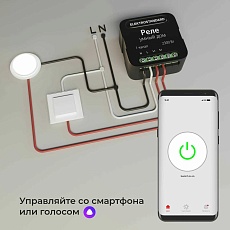Реле Wi-Fi Elektrostandard 76006/00 4690389185069 5