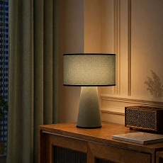 Настольная лампа ST Luce Jackie SL1354.704.01 4