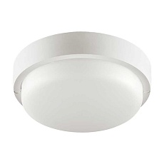 Накладной светодиодный светильник WOLTA LCL04-8W-R01-4K