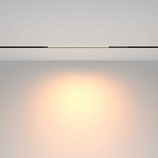 Трековый светильник Maytoni Technical TR231-2-10W3K-B 1