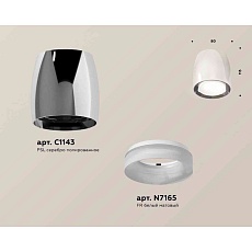 Комплект накладного светильника Ambrella light Techno Spot XS1143020 PSL/FR серебро полированное/белы матовый (C1143, N7165) 1