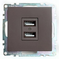 Розетка двухместная USB Stekker Катрин шоколад GLS10-7115-04 49027