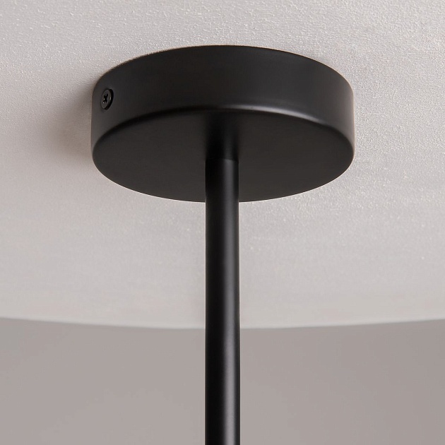 Подвесная люстра Maytoni Organic MOD225PL-06B изображение 3 Подвесная люстра Maytoni Organic MOD225PL-06B Фото № 3