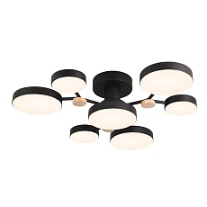 Потолочный светильник LED4U L3201-700 BK 4