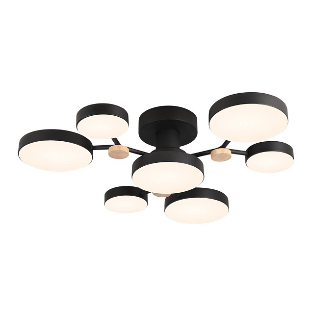 Потолочный светильник LED4U L3201-700 BK изображение 5 Потолочный светильник LED4U L3201-700 BK Фото № 5