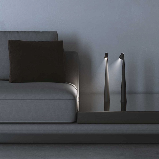 Настольная лампа Elektrostandard Elite TL70250 a068070 изображение 2 Настольная лампа Elektrostandard Elite TL70250 a068070 Фото № 2