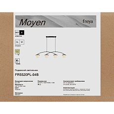 Подвесной светильник Freya Мойен / Moyen FR5520PL-04B 5