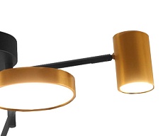 Потолочная светодиодная люстра Kink Light Рапис 07645-6D,19(20) 1