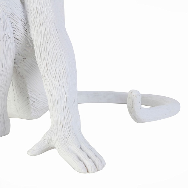 Прикроватная лампа Evoluce Tenato SLE115104-01 Фото № 2