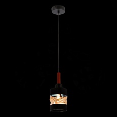 Подвесной светильник Evoluce Abiritto SLE114403-01 4