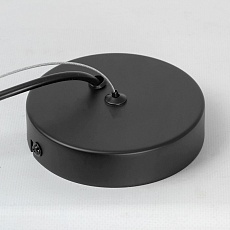 Подвесной светильник Lussole Miller LSP-8924 2