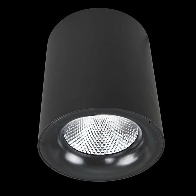 Потолочный светодиодный светильник Arte Lamp Facile A5130PL-1BK Фото № 2