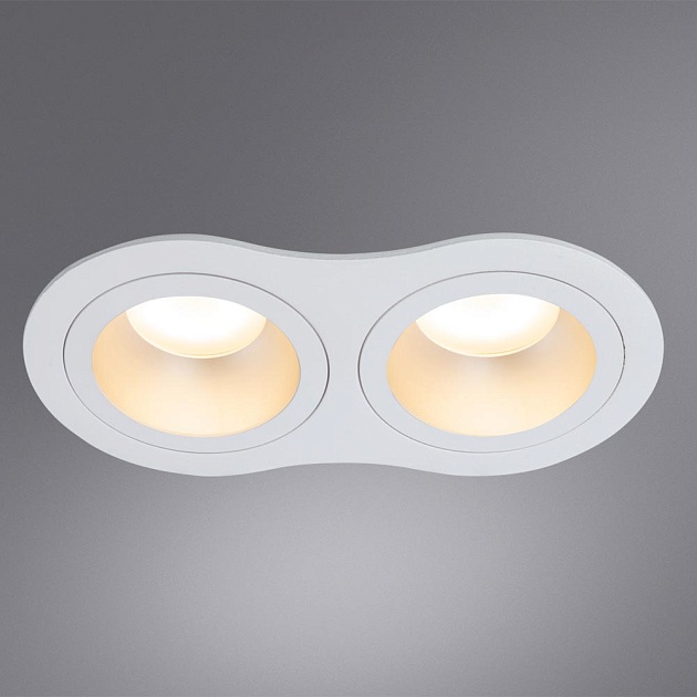 Встраиваемый светильник Arte Lamp Alkes A2161PL-2WH Фото № 3