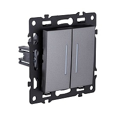 Выключатель 2-клавишный 10А/250В с LED подсветкой, серый Kollinger Asthetik AS-010GY 1