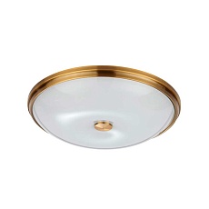 Потолочный светильник Odeon Light Walli Pelow 4956/5