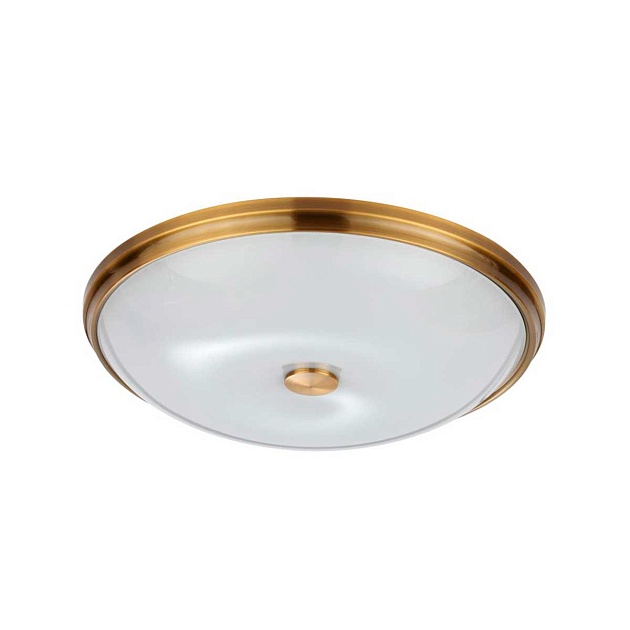 Потолочный светильник Odeon Light Walli Pelow 4956/5 Фото № 1