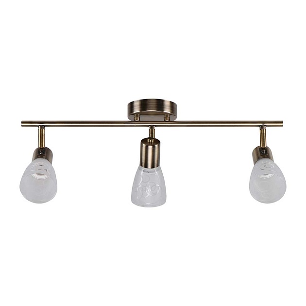 Спот ЭкономСвет 20786/3AB WT Фото № 1