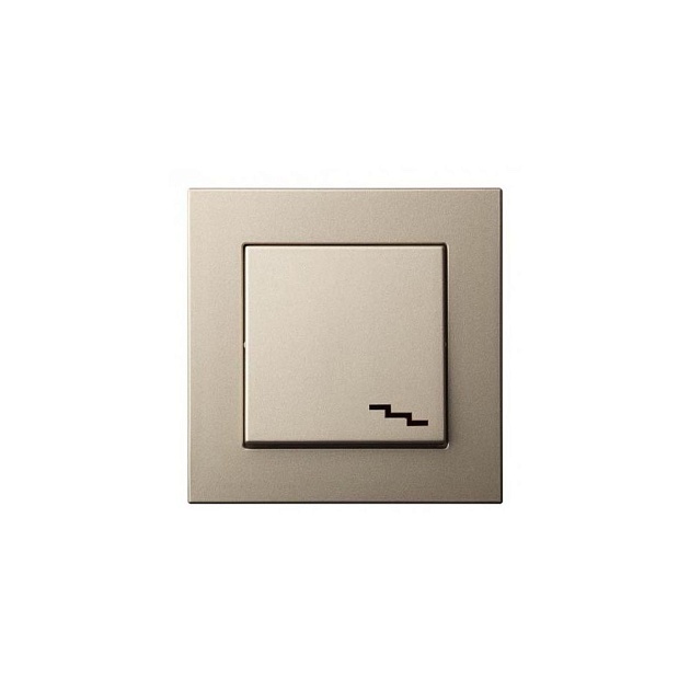 Переключатель одноклавишный Liregus Epsilon шампань 28-303 изображение 1 Переключатель одноклавишный Liregus Epsilon шампань 28-303 Фото № 1
