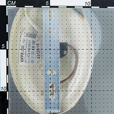 Бра Citilux Элиза CL423321 2