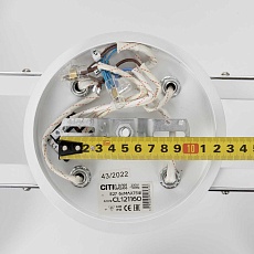 Потолочная люстра Citilux Отто CL121160 5
