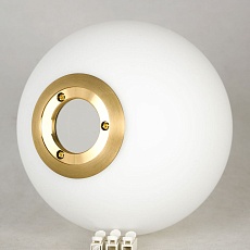 Настольная лампа Lussole Cleburne LSP-0611 3