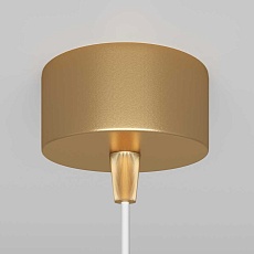 Подвесной светильник Maytoni Technical Focus P075PL-01MG 3