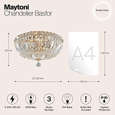 Потолочный светильник Maytoni Basfor DIA100-CL-03-G 2