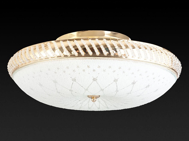 Накладной светильник Toplight Loreen TL1492Y-05GC Фото № 3