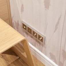 Накладка для телефонной розетки Werkel RJ-11 (шампань рифленый) W1192010 4690389160707 2