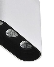 Подвесной светодиодный светильник Lumien Hall Элой 8004/3P-WT-BK 2
