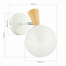 Настенный светильник Evoluce Catania SLE220701-01 1