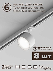 Встраиваемая однофазная трековая система Hesby Lighting Skylite №13 со светильниками HSBL_kompl_S013_VI3W4K 1