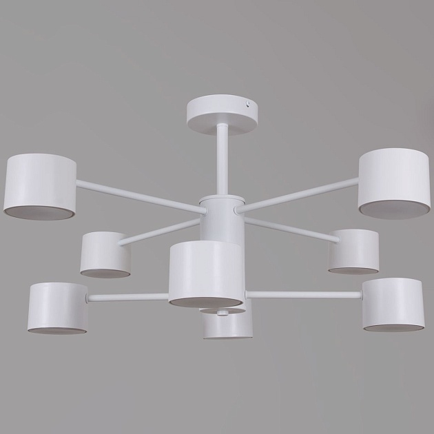 Потолочная люстра Reluce 47206-0.3-08WT изображение 5 Потолочная люстра Reluce 47206-0.3-08WT Фото № 5