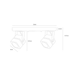 Потолочный светильник Arte Lamp A1315PL-2BK 4