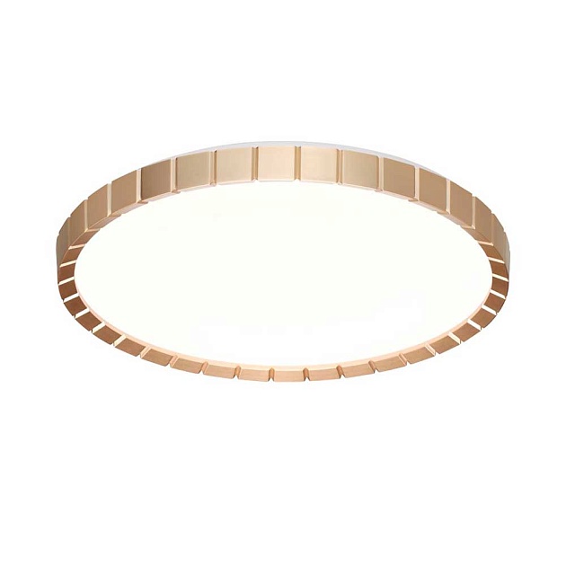 Настенно-потолочный светодиодный светильник Sonex Pale Atabi Gold 7648/DL фото 3